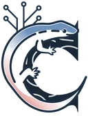 c-studio