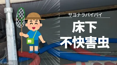 【床下】床下の虫を駆除する。不快害虫にさよならの画像